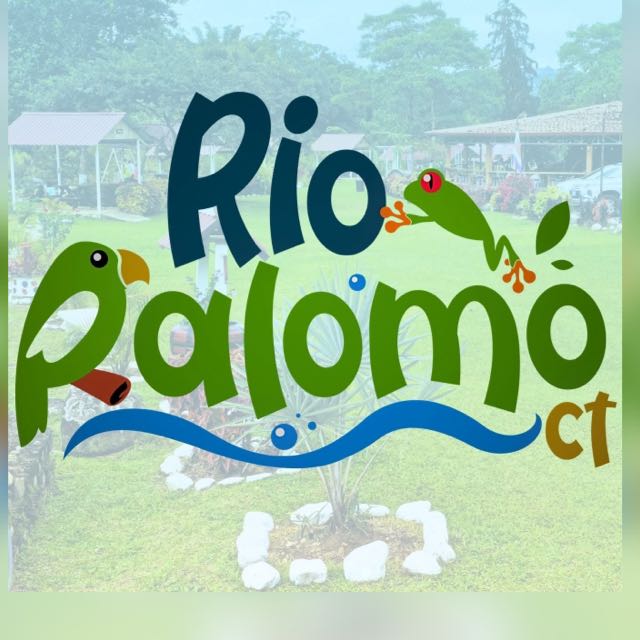 Perfil de WhatsApp de Río Palomo CT